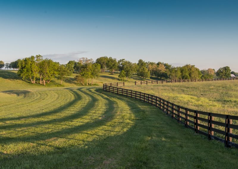 Equine Fence Repair